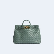 보테가 베네타 미디엄 안디아모 백 알로에